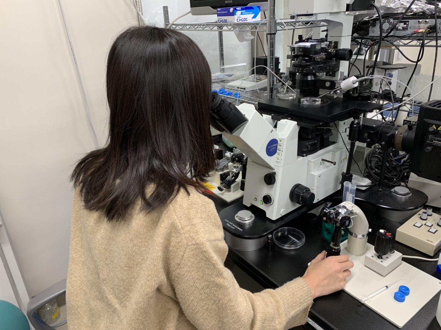 林えりか 山梨大学生命環境学部生命工学科